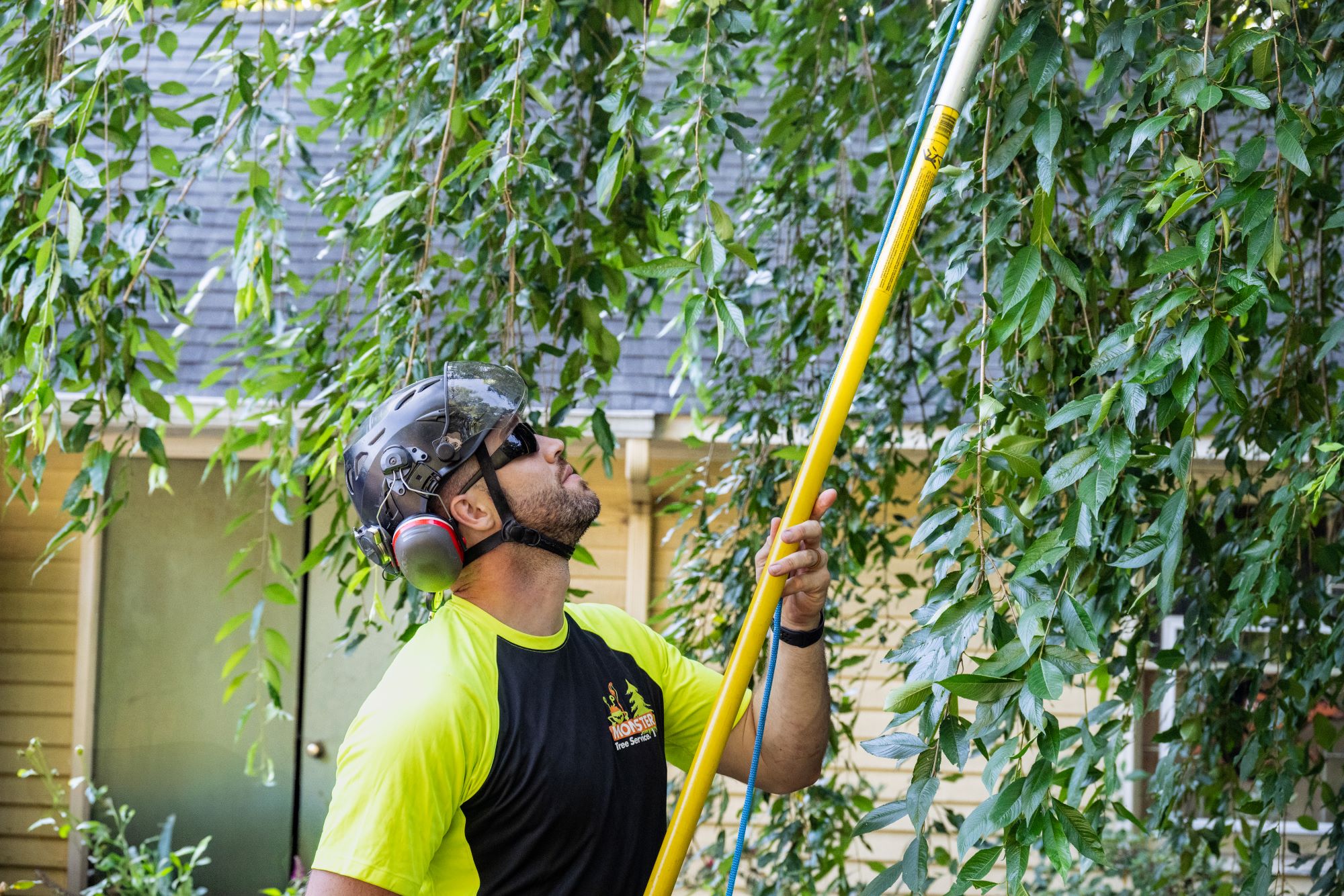 Monster Tree Service worker in branded uniform trimming tree branches.