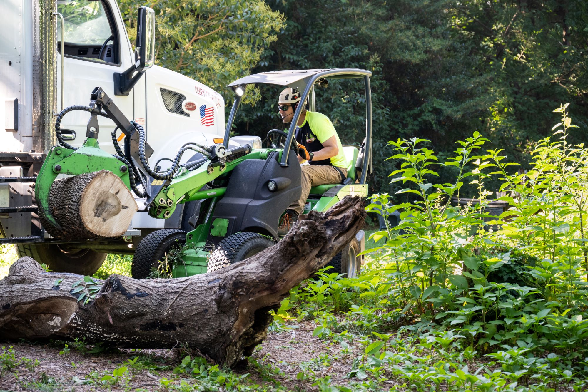 Monster Tree tech using equipment to move a tree stump.