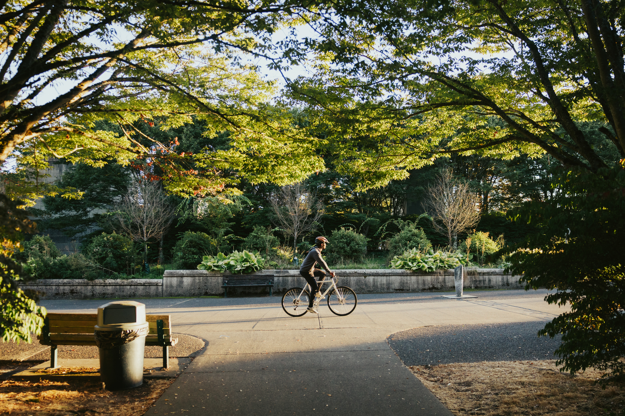 Outdoor area with a lot of trees and a biker on a paved path.